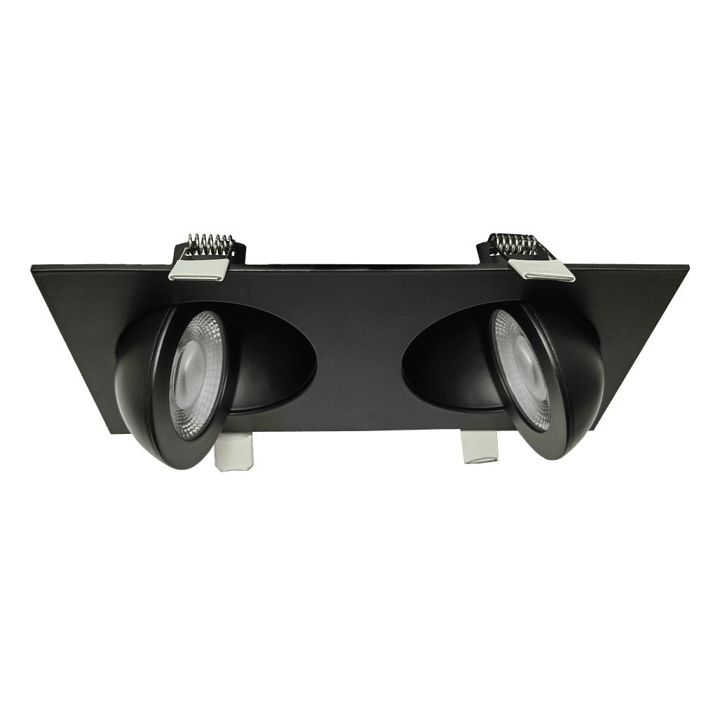 Goodlite Flarion G-01122 3.5" 20W LED 2 Head Rotating Gimbal Selectable CCT