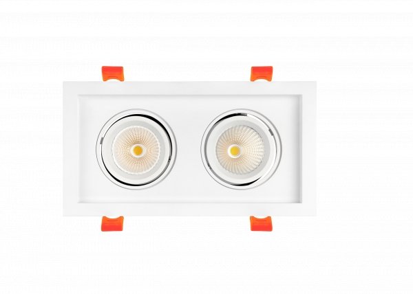 RAYHIL RAD2H 24W Dual Head LED Recessed Downlight  38° Selectable CCT