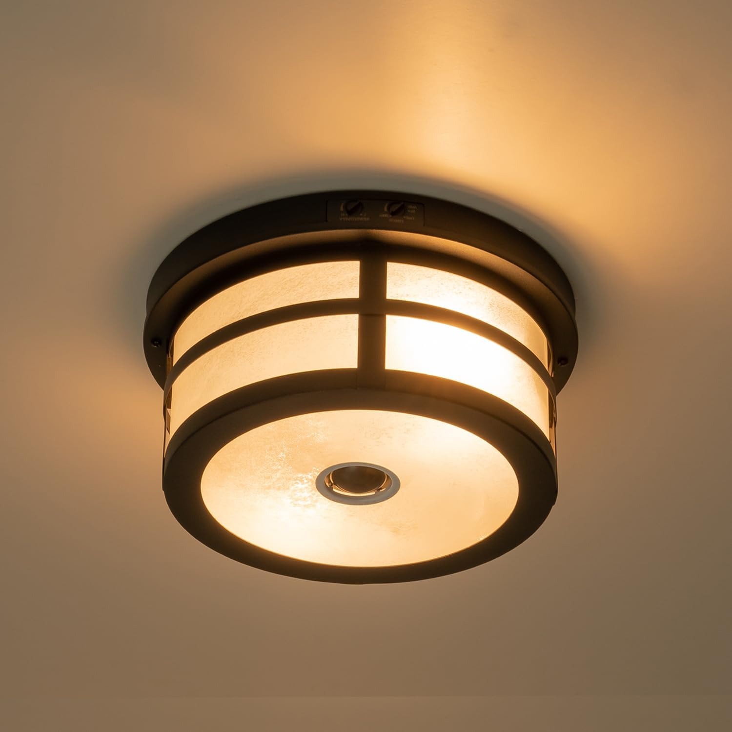 Motion Sensor Outdoor Ceiling Light – 2-Light