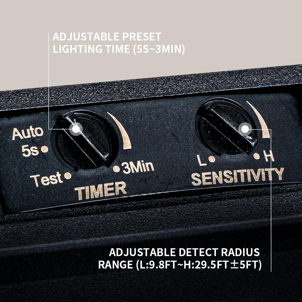 Motion Sensor Outdoor Ceiling Light – 2-Light