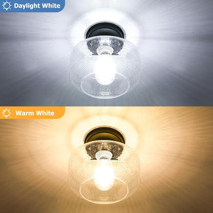 2-Pack Industrial Black Semi Flush Ceiling Lights