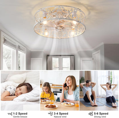 20" Caged Ceiling Fan with Light – White Gold Finish