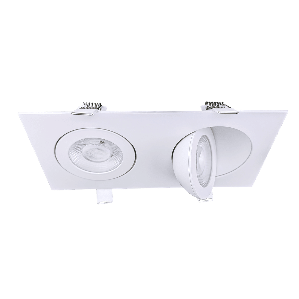 Goodlite Flarion G-01022 3.5" 20W LED 2 Head Rotating Gimbal Selectable CCT