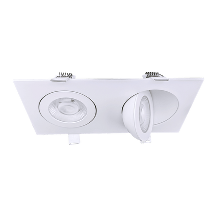 Goodlite Flarion G-01022 3.5" 20W LED 2 Head Rotating Gimbal Selectable CCT