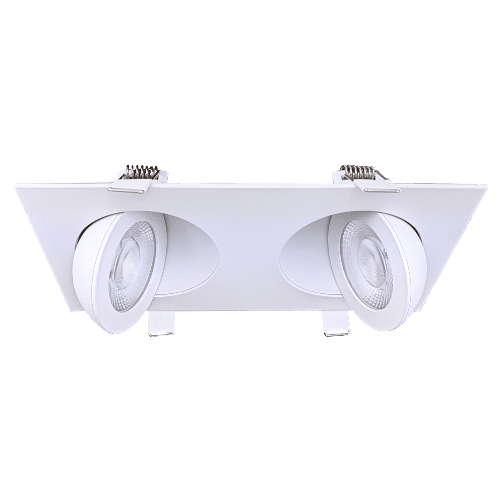 Goodlite Flarion G-01022 3.5" 20W LED 2 Head Rotating Gimbal Selectable CCT