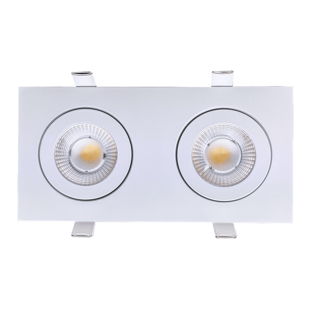 Goodlite Flarion G-01022 3.5" 20W LED 2 Head Rotating Gimbal Selectable CCT