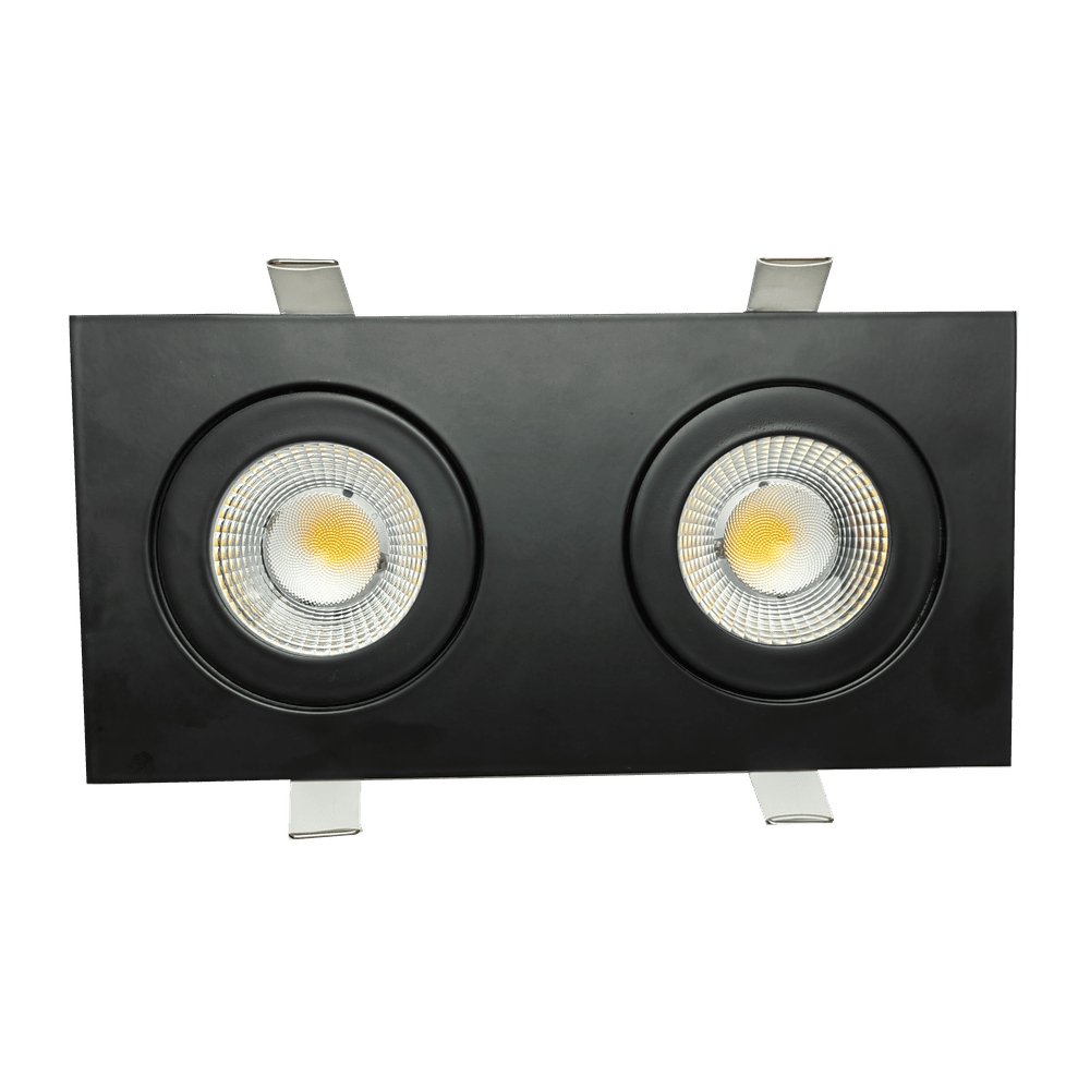 Goodlite Flarion G-01122 3.5" 20W LED 2 Head Rotating Gimbal Selectable CCT