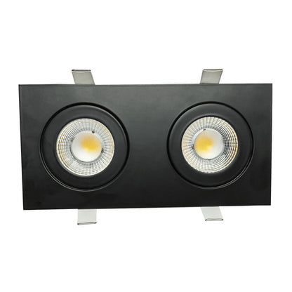 Goodlite Flarion G-01122 3.5" 20W LED 2 Head Rotating Gimbal Selectable CCT