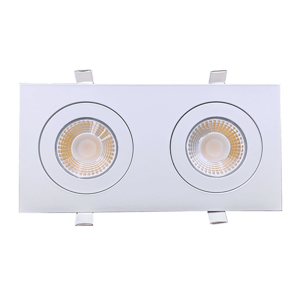 Goodlite Flarion G-01222 4" 26W LED 2 Head Rotating Gimbal Selectable CCT