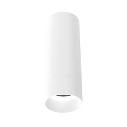 Luxrite 2.5" 15W Cylinder Snoot Options