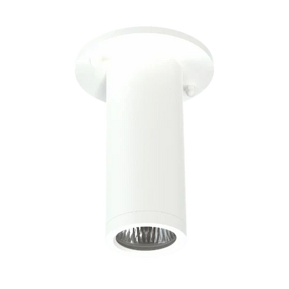 Luxrite 2.5" 15W Cylinder Surface Mounting Options