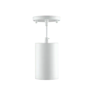 Rayhil CYL20 Revolve Cylinder Surface/Pendant Mounts