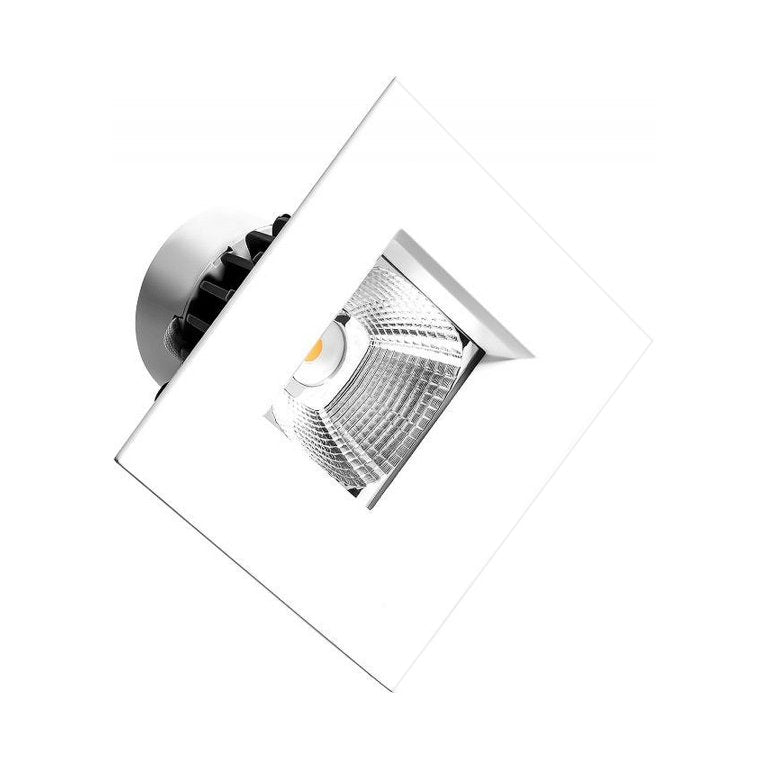 RAYHIL RAR40 10W 4" Retrofit LED Downlight Selectable CCT